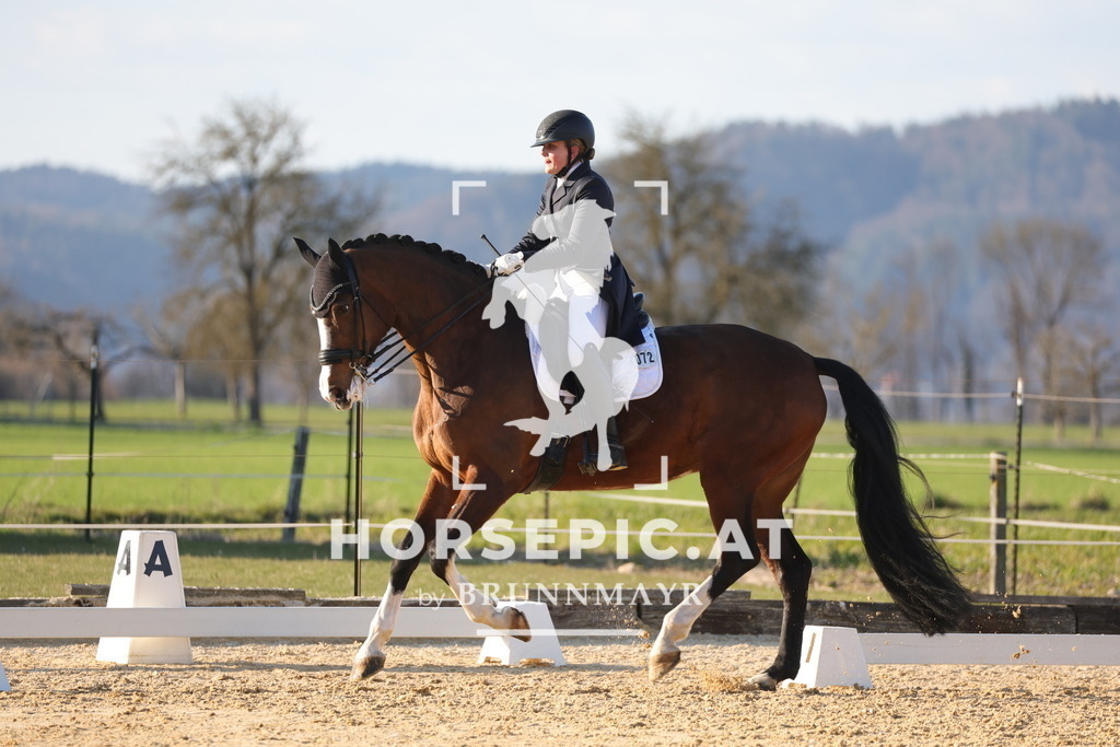 0P6A8135 | Willkommen bei Brunnmayr - Design & Fotografie – Ihrem Spezialisten für Reitturniere und Pferdeveranstaltungen in Oberösterreich, Salzburg und Bayern! Seit über 17 Jahren sind wir leidenschaftlich dabei.