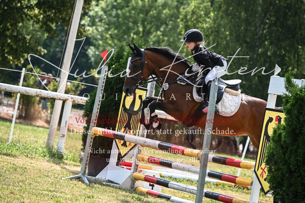 DSC_8523 | Pferde- und Turnierfotografie in Westsachsen. Pferdeportraits, Auftragszeichnungen und intuitive Kunst.
