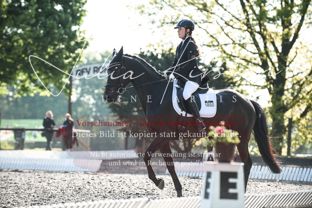 DSC_8351 | Pferde- und Turnierfotografie in Westsachsen. Pferdeportraits, Auftragszeichnungen und intuitive Kunst.
