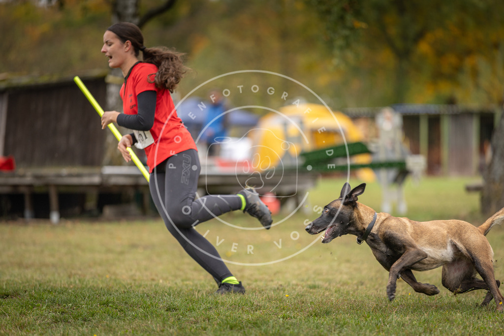 Pfotenfotografie_DV3A5001 | Hundefotografie, Tierfotograf, Pfotenfotografie, Fotoshooting Hund, Hunde Portrait, Hundesport, Hundeportraits, Heideshooting, Hunde, Sportfotograf, Hundefotograf, Turnierhundsport, THS,  - Realisiert mit Pictrs.com
