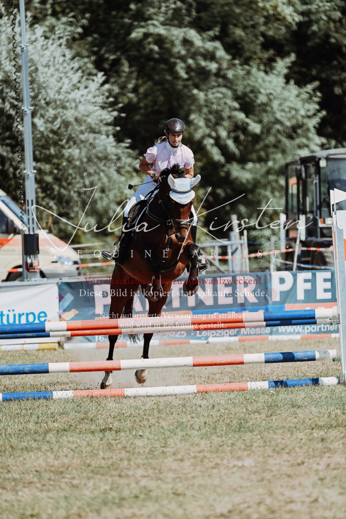 DSC_9734 | Pferde- und Turnierfotografie in Westsachsen. Pferdeportraits, Auftragszeichnungen und intuitive Kunst.