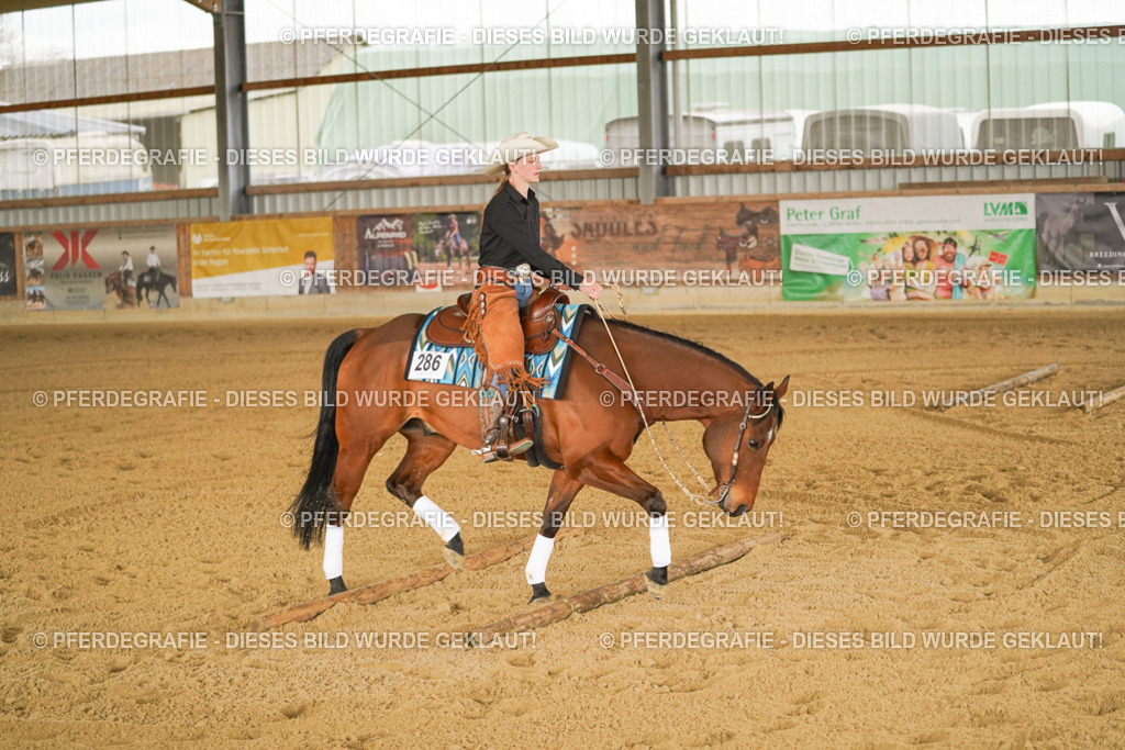 DSC04490 | Pferdegrafie