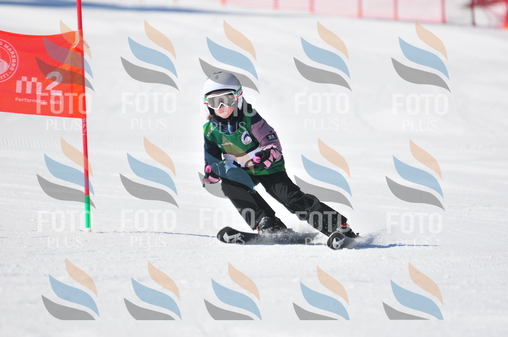 C3044 | holidayphoto