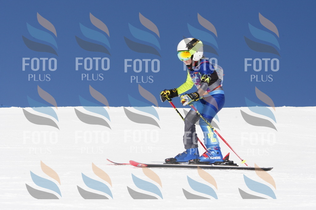 _W1G1266 | holidayphoto