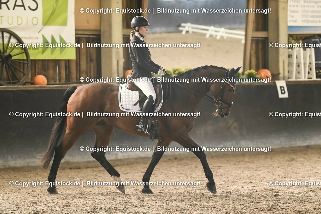 01_Dressur_A_Finale-Volksbank-Championat_0013 | Foto: Thomas Hartig