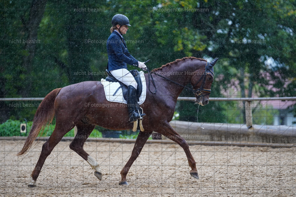 20221008-FAH02078 | Diessen am Ammersee, 2022, Dressur- und Springturnier, Reitsportbilder, Turnierfotografen Bayern, Pferdefotografen, Fotoagentur Herrmann, Turnierbilder