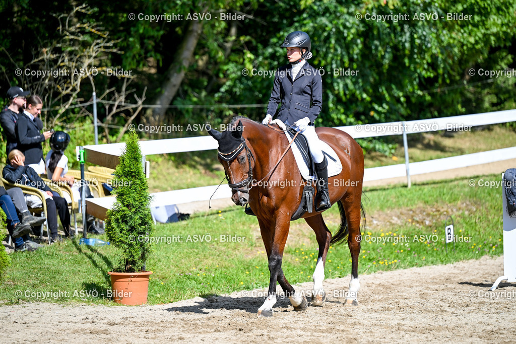 ASVÖ_ Reiten Bezirksmeisterschaft_ 24.08.2025-36 | 24.08.2025, AUT, ASVÖ, Reiten Bezirksmeisterschaft 2025Dressur und Springreiten©fodo.media / Harald Dostal - Realisiert mit Pictrs.com