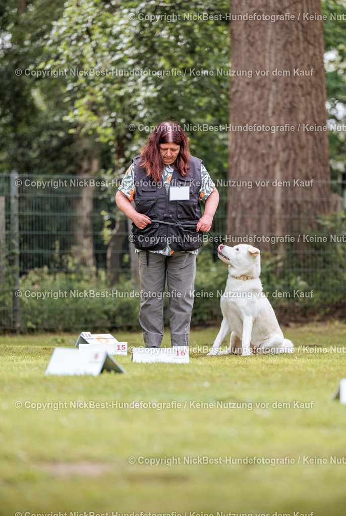 RO-Blumenthal-2026-Nickbest-Hundefotografie-5039 | Dein Hund! Dein Moment! Deine Erinnerungen! Hundefotografie in Bremen Blumenthal. Ich fange die besonderen Momente deines Vierbeiners ein – ob Indoor mit Blitzanlage oder in der freien Natur. Sicher dir dein Moment und dein Termin für eure Erinnerungen.