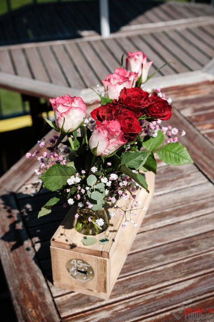 Beagle Club Schweiz  | Beagle Club Schweiz, 45 Jahre in Menziken 2025 Foto: Leo Wyden