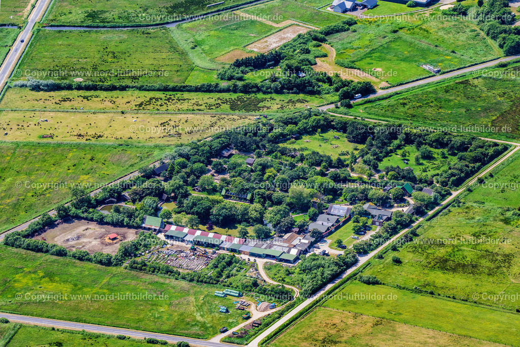 Sylt_Tinnum_Tierpark_Tinnum_ELS_4625130625 | SYLT 13.06.2025 Zoogelände am Tierpark Tinnum im Ortsteil Tinnum auf Sylt auf der Insel Sylt im Bundesland Schleswig-Holstein, Deutschland. // Zoo grounds Tinnum in the district Tinnum in Sylt on Island Sylt in the state Schleswig-Holstein, Germany. Foto: Martin Elsen