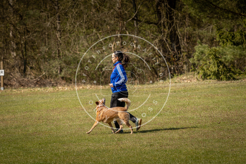 Pfotenfotografie_DV3A0873 | Hundefotografie, Tierfotograf, Pfotenfotografie, Fotoshooting Hund, Hunde Portrait, Hundesport, Hundeportraits, Heideshooting, Hunde, Sportfotograf, Hundefotograf, Turnierhundsport, THS,  - Realisiert mit Pictrs.com