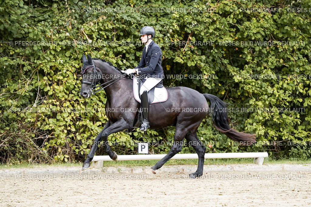 DSC05675 | Pferdegrafie