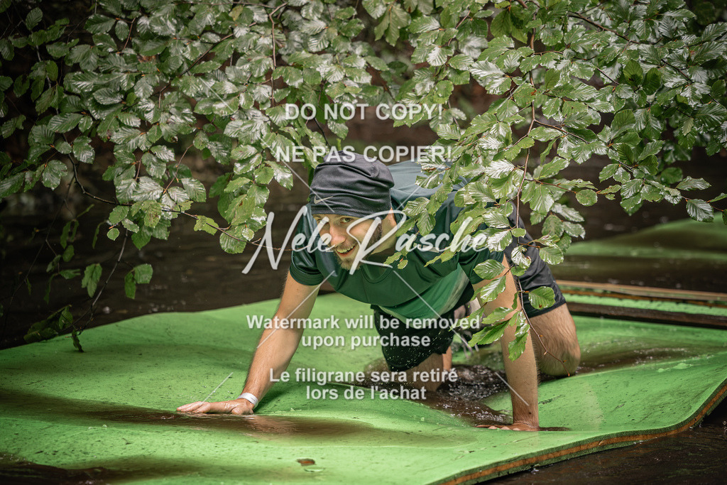nelerasche_Wingst_Sa1330-1400_381 | nelerasche