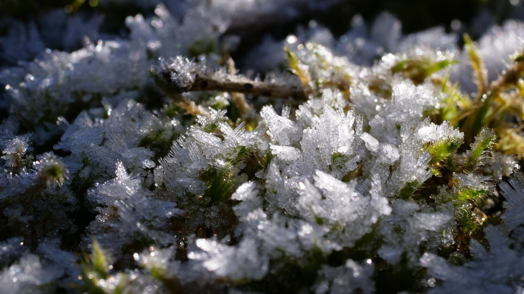 P1055210 | klausulrichmoeller