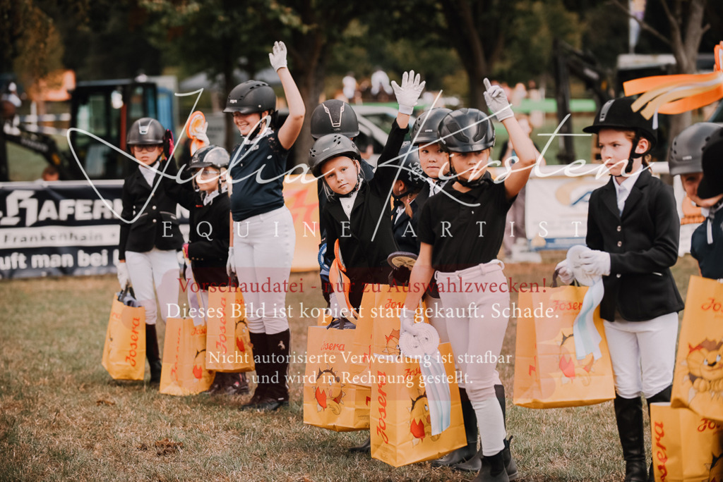 DSC_6397 | Pferde- und Turnierfotografie in Westsachsen. Pferdeportraits, Auftragszeichnungen und intuitive Kunst.