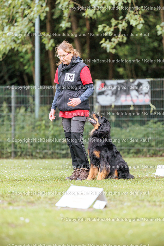 RO-Blumenthal-2026-Nickbest-Hundefotografie-0996 | Dein Hund! Dein Moment! Deine Erinnerungen! Hundefotografie in Bremen Blumenthal. Ich fange die besonderen Momente deines Vierbeiners ein – ob Indoor mit Blitzanlage oder in der freien Natur. Sicher dir dein Moment und dein Termin für eure Erinnerungen.