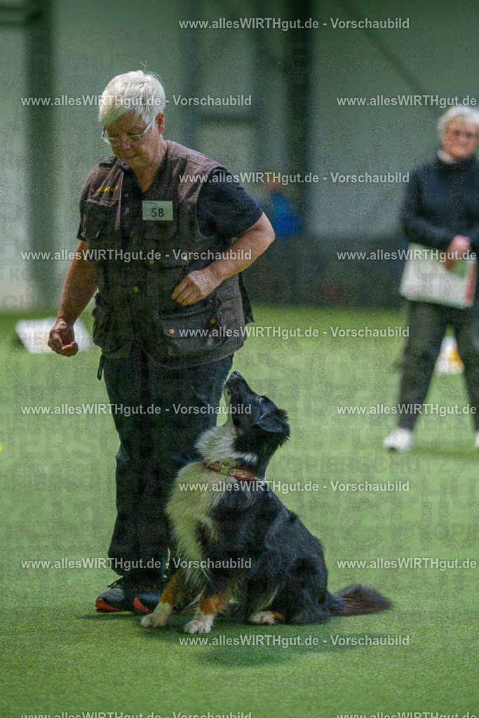 7R507136 | Professionelle Tierfotografie in Mönchengladbach von Daniel Wirth (allesWIRTHgut). Liebevolle & natürliche Bilder von Hunden & Katzen für unvergessliche Erinnerungen.