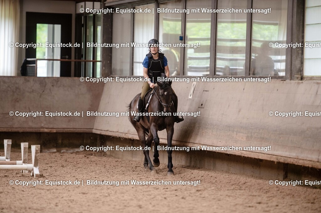 20250725_Vielseitigkeitslehrgang-Marbach_0052 | Foto: Thomas Hartig