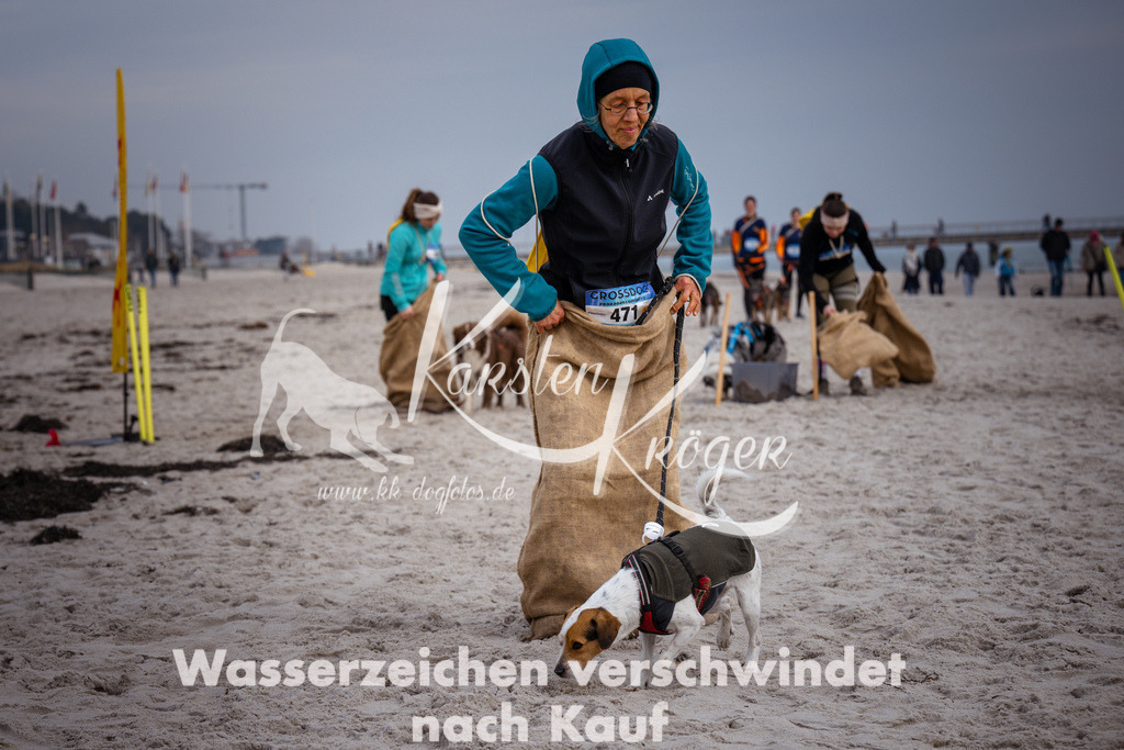 1255_ZZ96937 | kk-dogfotos