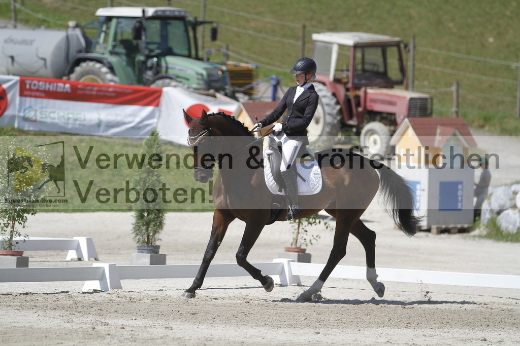 _MG_0532 | equestrian-live-com