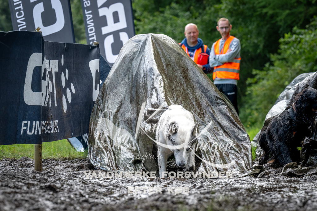 1100_ZZ93311 | kk-dogfotos