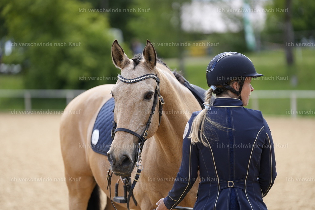 PI26_COW_Stoibphotography_A749509.JPG | working equitationturnier fotograf videograf stoibphotography marixx film working equitation deutschland reitsport turnierfotografie eventfotografie equestrian events