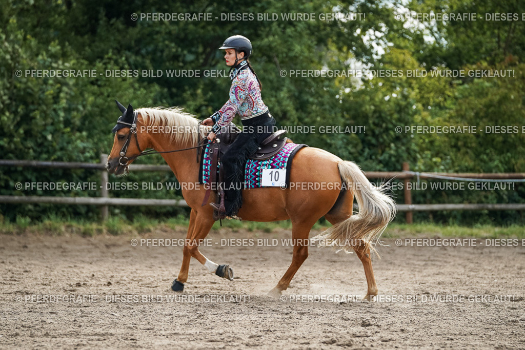 DSC03497 | Pferdegrafie