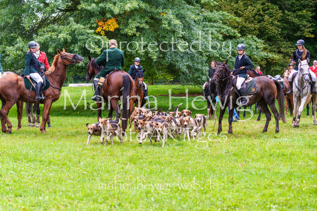 Jagd Perdoel 26 Sony-04194_MarinaHewig | Fotografie, FotoArt, PferdesportArt, Pferdesportfotografie, Landschaftsfotografie, Reisefotografie, Reise, Pferde - Realisiert mit Pictrs.com