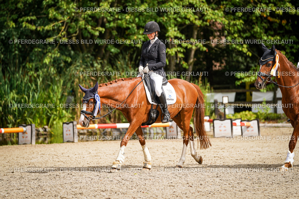 DSC02447 | Pferdegrafie