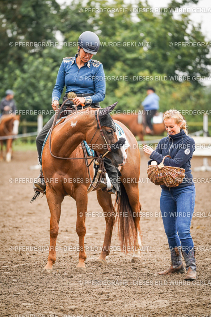 DSC02668 | Pferdegrafie