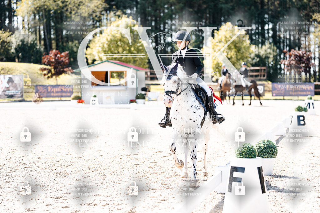 CK904213 | Turnierfotografie Pferdefotografie Trier Rheinland-Pfalz Pferdesport Reitsport Tierfotografie Sportfotografie Pferdevideo Pferdevideografie Equestrianvideography equestrianphotography  - Realisiert mit Pictrs.com