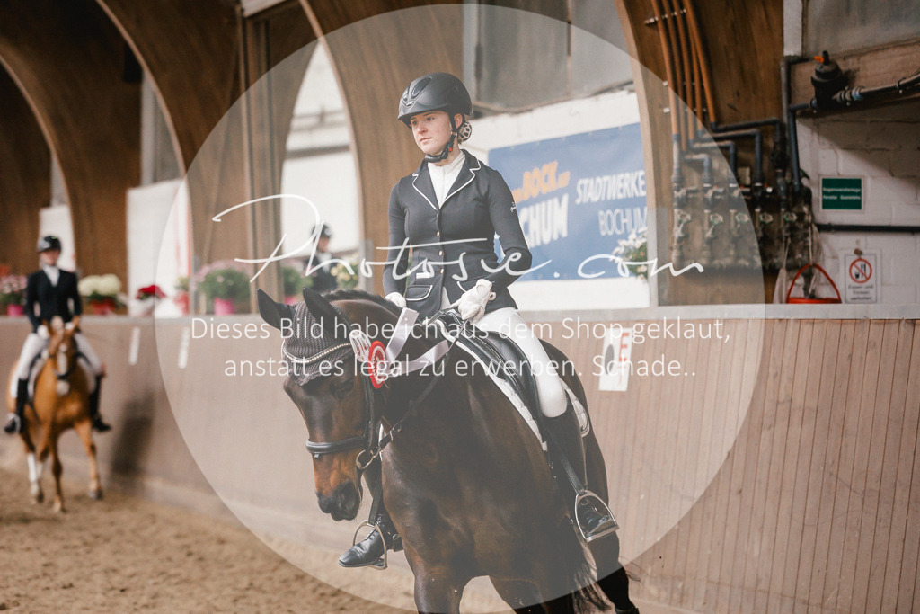 3I6A8038 | Stimmungsvolle Portraits und Reitsportfotografie im Ruhrgebiet und im Münsterland.

Pferdefotografie, Hundefotografie, Tierfotografie, Reportagen, Portraits von Tier und Mensch, Turnierfotografie in Bochum, Recklinghausen, Marl, Haltern am See, Dülmen.. - Realisiert mit Pictrs.com