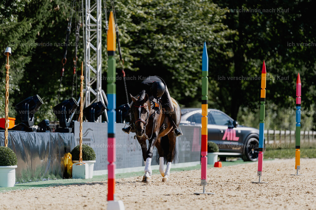 Virginie12FHC2025-09173 | working equitationturnier fotograf videograf stoibphotography marixx film working equitation deutschland reitsport turnierfotografie eventfotografie equestrian events