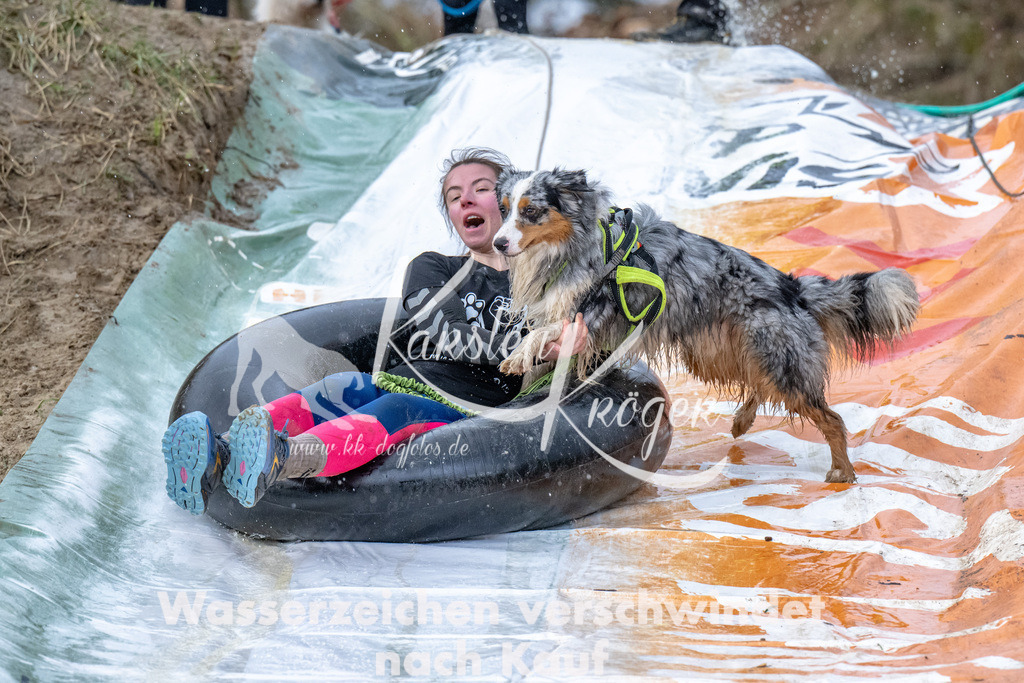 1536_ZZ90215 | kk-dogfotos