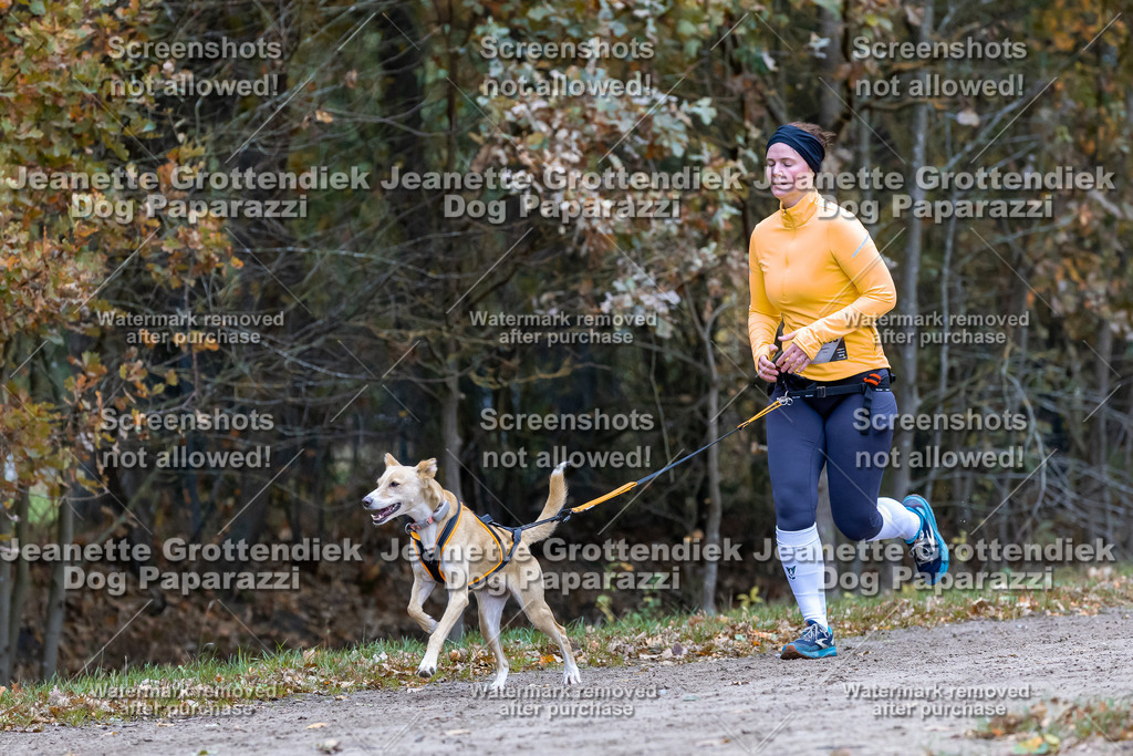 Dog Paparazzi - SD CaniX Championship 2025-546 | Dog Paparazzi Jeanette Grottendiek Fotografie & Videografie - Realisiert mit Pictrs.com