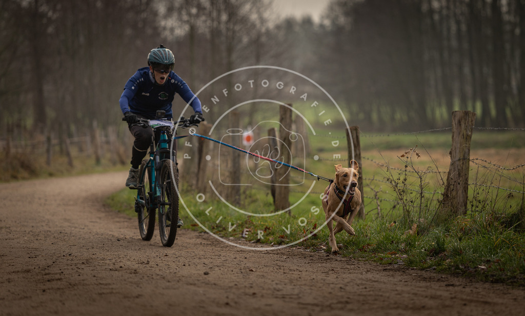Pfotenfotografie_DV3A1969 | Hundefotografie, Tierfotograf, Pfotenfotografie, Fotoshooting Hund, Hunde Portrait, Hundesport, Hundeportraits, Heideshooting, Hunde, Sportfotograf, Hundefotograf, Turnierhundsport, THS,  - Realisiert mit Pictrs.com