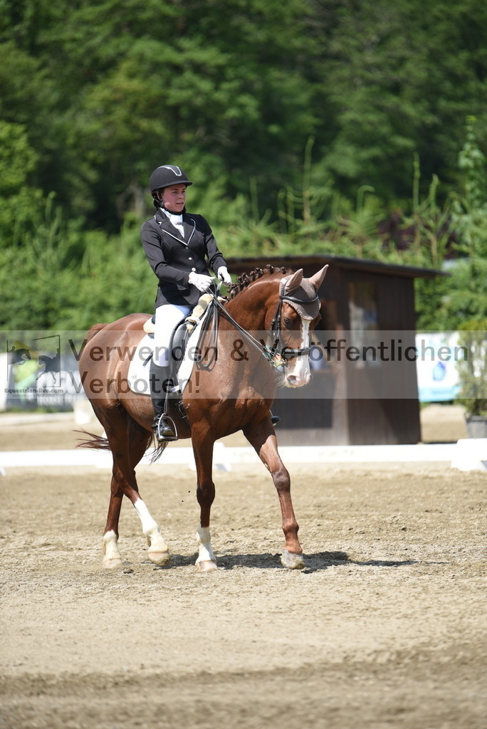 DSC_8800 | equestrian-live-com