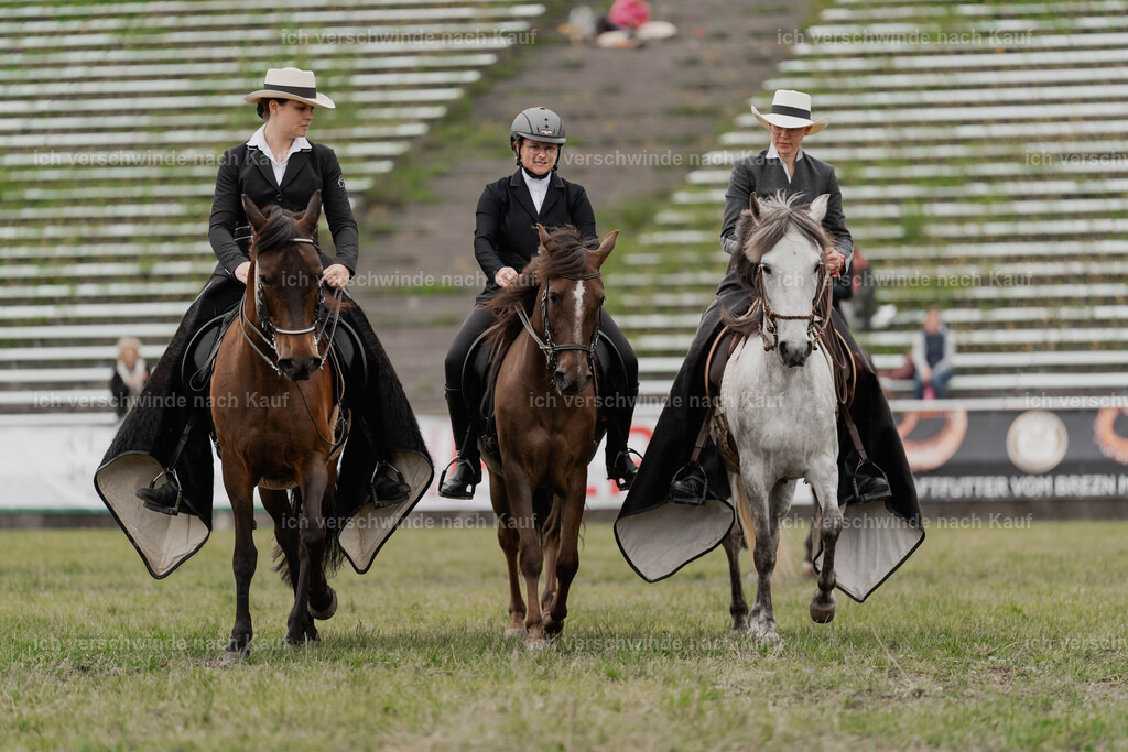 Showprogramm-484 | working equitationturnier fotograf videograf stoibphotography marixx film working equitation deutschland reitsport turnierfotografie eventfotografie equestrian events