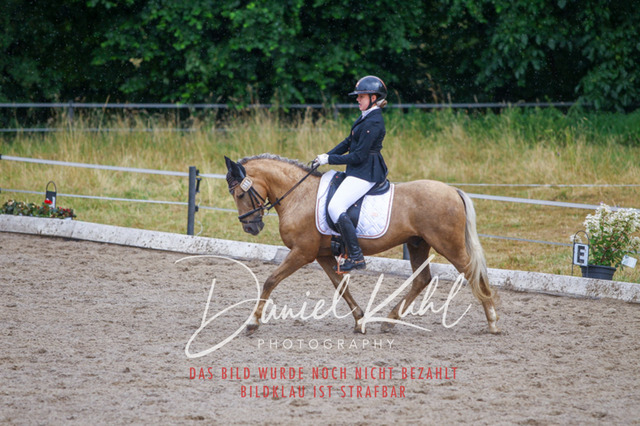 DKP47054 | Turniersportfotografie; Pferdefotografie; Dressurfotografie