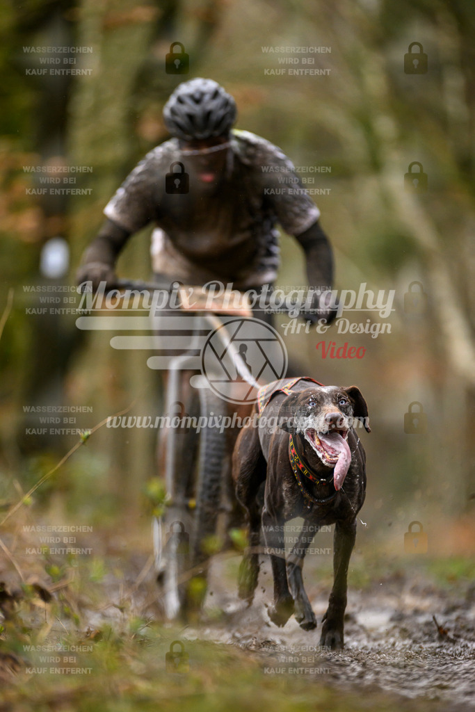 MompixPhotography_CDSM24_SA_DS1-18 | PayLife