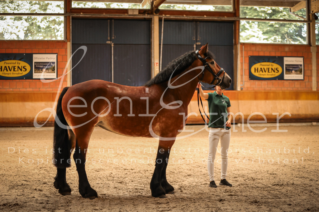 SaFL00040 | Leoni Ertmer Photography - Realisiert mit Pictrs.com