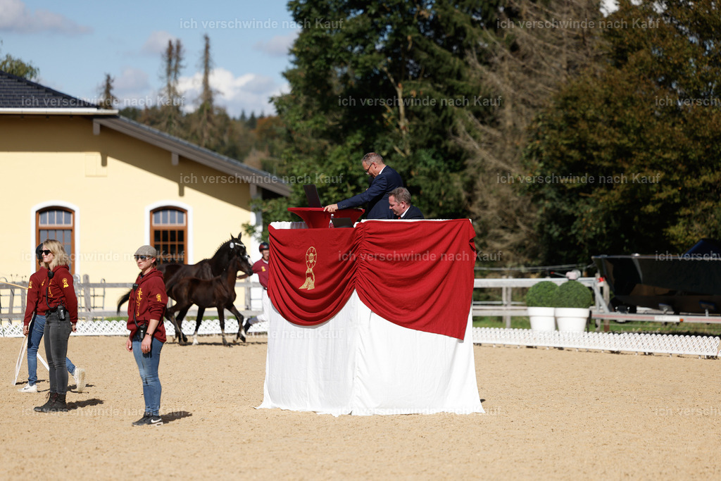 _AM19127 | working equitationturnier fotograf videograf stoibphotography marixx film working equitation deutschland reitsport turnierfotografie eventfotografie equestrian events