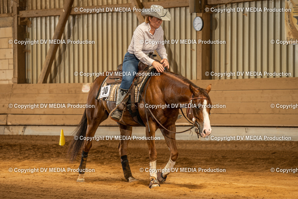 NID02056 | dv-media-shop - Realisiert mit Pictrs.com