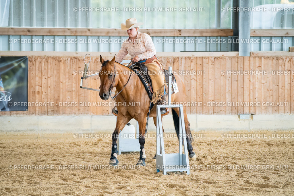 DSC07280 | Pferdegrafie