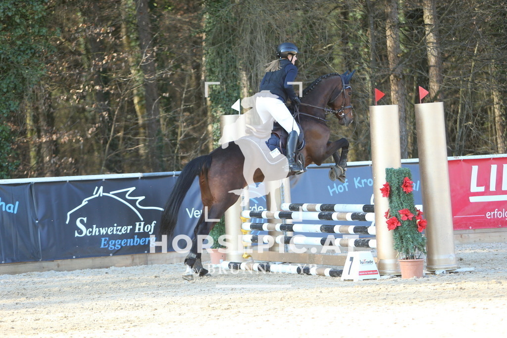 DL2Q2068 | Willkommen bei Brunnmayr - Design & Fotografie – Ihrem Spezialisten für Reitturniere und Pferdeveranstaltungen in Oberösterreich, Salzburg und Bayern! Seit über 17 Jahren sind wir leidenschaftlich dabei.