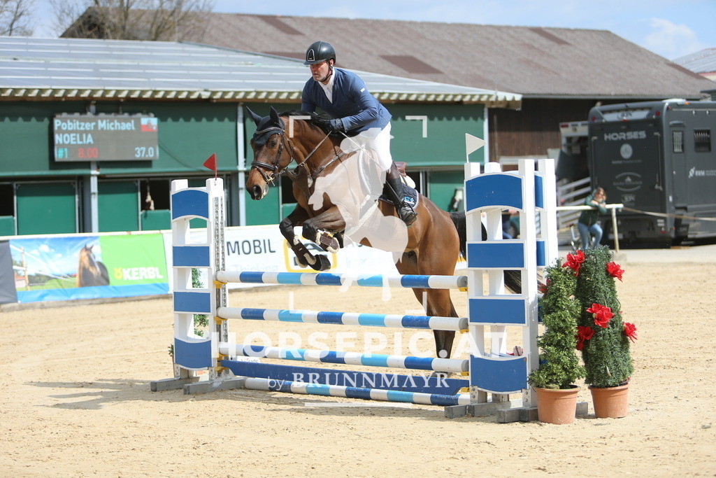 DL2Q8711 | Willkommen bei Brunnmayr - Design & Fotografie – Ihrem Spezialisten für Reitturniere und Pferdeveranstaltungen in Oberösterreich, Salzburg und Bayern! Seit über 17 Jahren sind wir leidenschaftlich dabei.