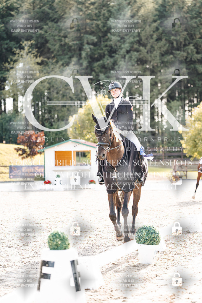 CK901808 | Turnierfotografie Pferdefotografie Trier Rheinland-Pfalz Pferdesport Reitsport Tierfotografie Sportfotografie Pferdevideo Pferdevideografie Equestrianvideography equestrianphotography  - Realisiert mit Pictrs.com