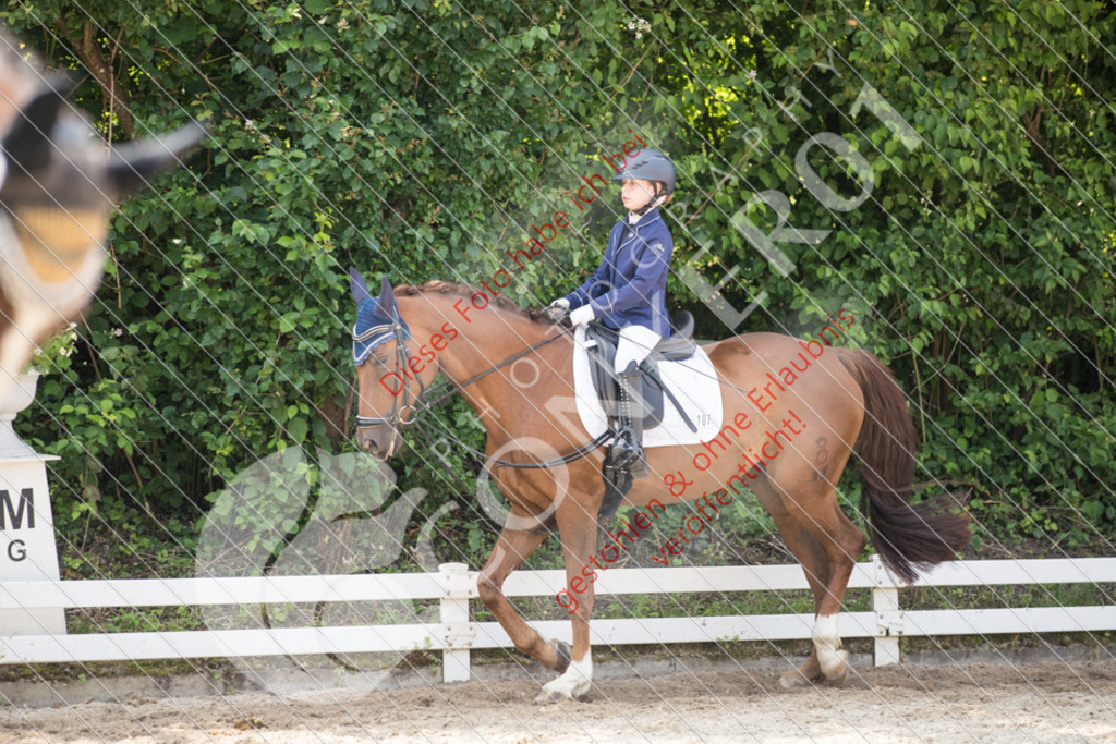 IMG_3776 | Sport-, Event- und Tierfotos in Profiqualität. Einfach auswählen, bestellen und herunterladen. Dein Moment – perfekt festgehalten.