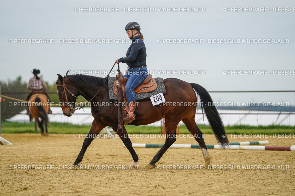 DSC02854 | Pferdegrafie