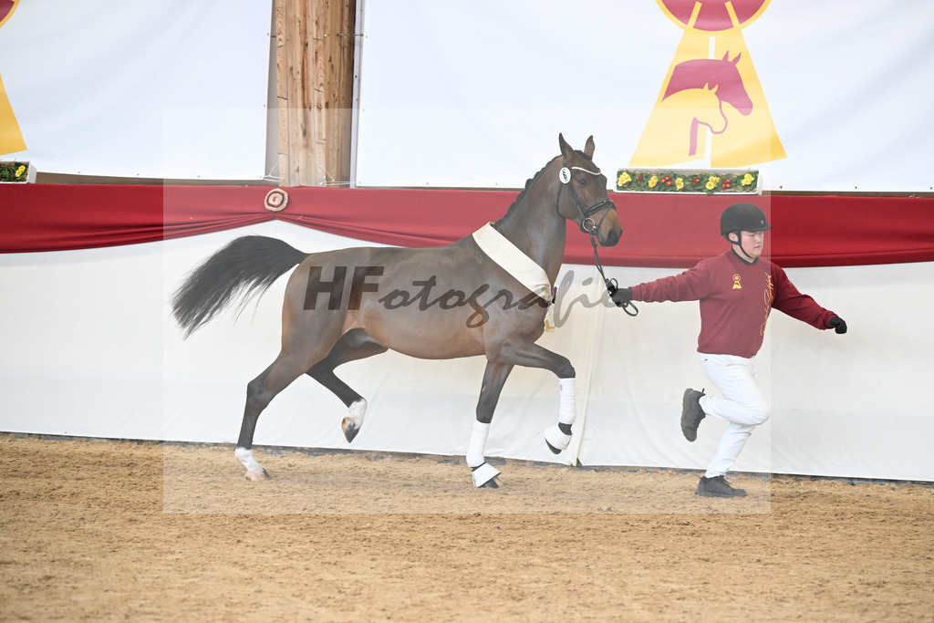 Kat.-Nr. 6 v. Cento_Dobel_2251653 | hf-fotografie - Realizzato con Pictrs.com